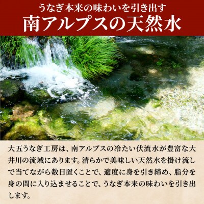 大五のうなぎ蒲焼　480g(160g×3尾) 国産うなぎ(大サイズ)