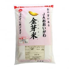 JA大井川　金芽米5kg(精米)　お茶100g　セット