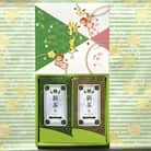 先行予約2026新茶使用　静岡県大井川流域産　初摘　深蒸し新茶100g×2本セット