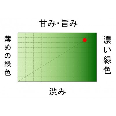 取れたて!2025新茶　静岡県大井川流域産　初摘　深蒸し新茶100g×3本セット