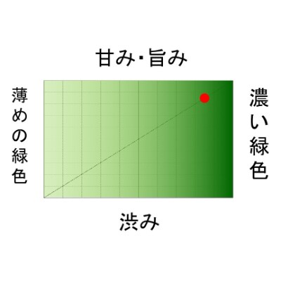 静岡県大井川流域産　2023初物深蒸水出ティーバッグ(5g×12個)×2本、深蒸し新茶100g×2本