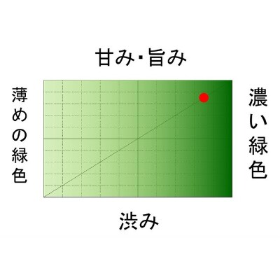 先行予約　静岡県大井川流域産　2024年初物深蒸し水出ティーバッグ(5g×12個)3本