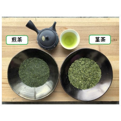 取れたて2025新茶　静岡県産 深蒸し茶 煎茶(100g×3本)・茎茶(100g×2本)　5本セット