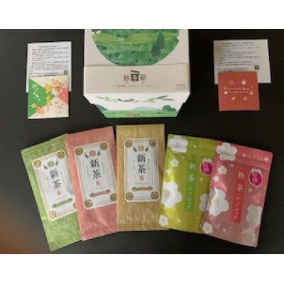 先行受付2025静岡県産初摘深蒸煎茶 100g×3袋・初物深蒸しティーバッグ(5g×15個入)×2袋