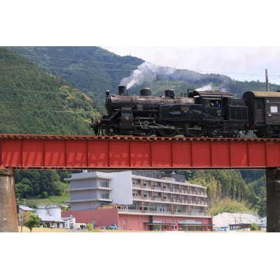 大井川鐵道　フリー乗車券と川根温泉ホテル宿泊券(お買い物券付き)