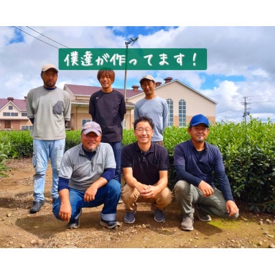 深蒸し一番粉茶ティーバッグセット