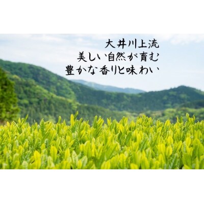 川根茶 ご家庭用 普通煎茶やまびこ2kg (200g袋×10本セット)