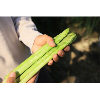 静岡産　アスパラガス　1kg