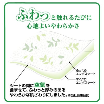 【ふるさと納税】エリエール トイレットティシュー リーフプリント12ロール(ダブル)×6セット