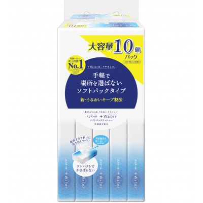 【ふるさと納税】エリエール+Water(保湿)ソフトパックティシュー120組10パック×10セット