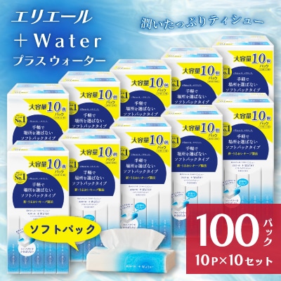 【ふるさと納税】エリエール+Water(保湿)ソフトパックティシュー120組10パック×10セット