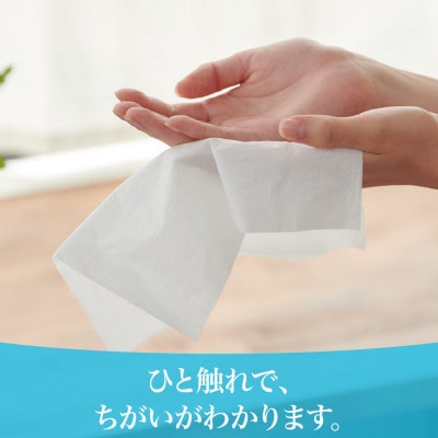 【ふるさと納税】エリエール+Water(保湿)ソフトパックティシュー120組10パック×10セット