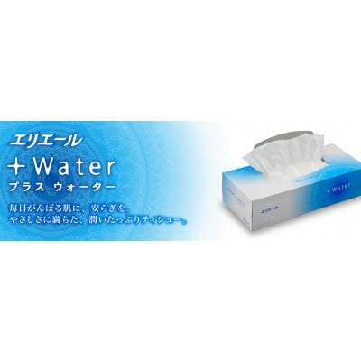 エリエール+Water　180W5箱×10セット