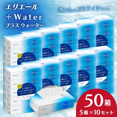 エリエール+Water　180W5箱×10セット