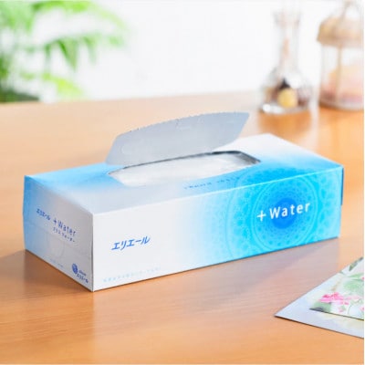 エリエール+Water　180W5箱×10セット