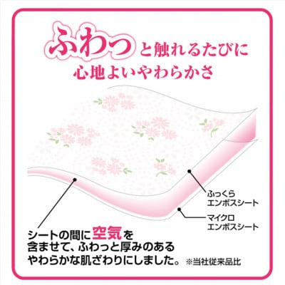 エリエール トイレットティシューフラワープリント12ロール×6セット(ダブル)