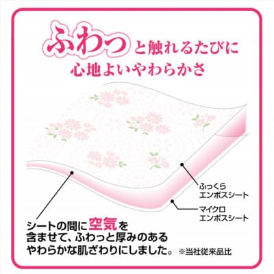 エリエール トイレットティシューフラワープリント12ロール×6セット(ダブル)