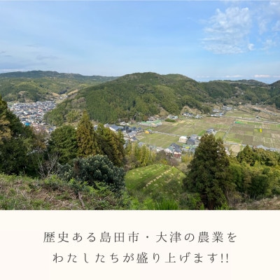 香りさわやか!新茶のふわ茶(5g入り×50パック×2袋)