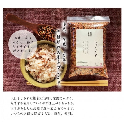 2024年産 色とりどり!みっくす米(480g×2袋) | 静岡県島田市