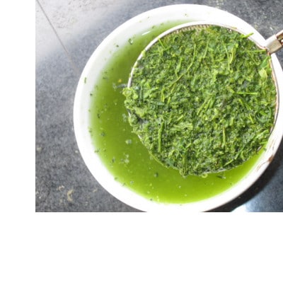 旬の煎茶　玉翠　100g×5パック