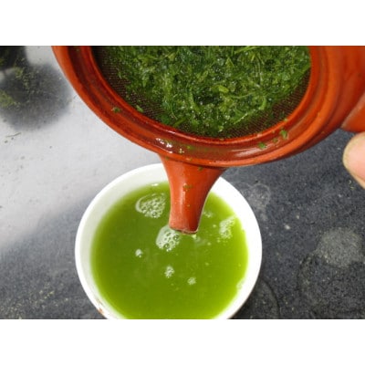 旬の煎茶　玉翠　100g×5パック