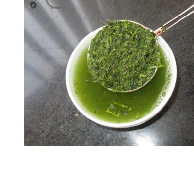 食卓の常茶　煎茶　初摘　200g×10パック