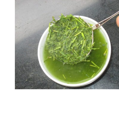 高級茎茶　ちゃばしら　100g×10
