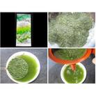 市場になかなかでない品種「静7132」　さわのみどり　100g×5パック