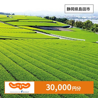 【じゃらんふるさと納税クーポン】 静岡県島田市でつかえる30,000円 クーポン