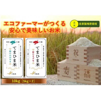 令和5年産『てまひま米』食べ比べセット【彩のかがやき・彩のきずな】玄米5kgずつ(計10kg)