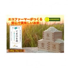 令和5年産『てまひま米』【彩のかがやき】玄米10kg(5kg&times;2)