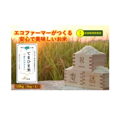 令和5年産『てまひま米』【彩のかがやき】玄米10kg(5kg×2)