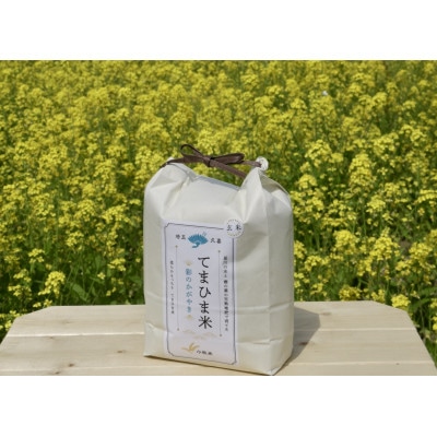 令和5年産『てまひま米』【彩のかがやき】玄米10kg(5kg×2)