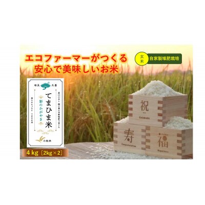 令和5年産『てまひま米』【彩のかがやき】玄米4kg(2kg×2)