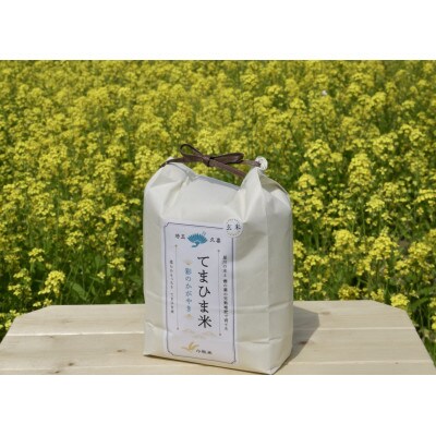 令和5年産『てまひま米』【彩のかがやき】玄米4kg(2kg×2)
