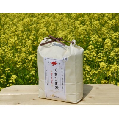 令和5年産『てまひま米』【彩のきずな】玄米4kg(2kg×2)