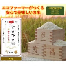 令和4年産  ふっくら優しい『てまひま米』(彩のきずな)精米5kg