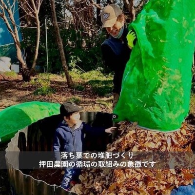 令和6年産『てまひま米』(こしひかり・彩のきずな)精米10kg(5kg×2袋)