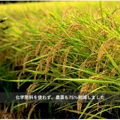令和6年産『てまひま米』(こしひかり・彩のきずな)精米4kg(2kg×2袋)