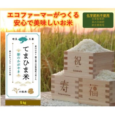 令和6年産  柔らかもっちり『てまひま米』(彩のかがやき)精米5kg