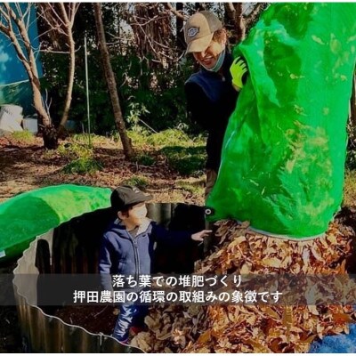 令和6年産　ふっくら優しい『てまひま米』(彩のきずな) 精米10kg(5kg×2kg)