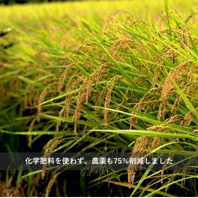 令和6年産　ふっくら優しい『てまひま米』(彩のきずな) 精米10kg(5kg×2kg)