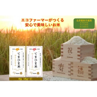 令和6年産『てまひま米』(コシヒカリ・ミルキークイーン) 精米 4kg(2kg×2袋)