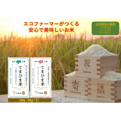 令和6年産『てまひま米』(彩のかがやき・ミルキークイーン) 精米 10kg(5kg×2袋)