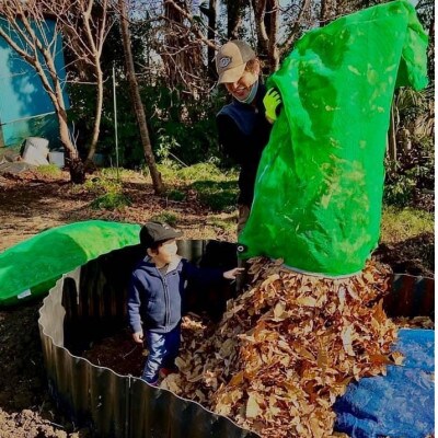 令和6年産『てまひま米』(彩のかがやき・ミルキークイーン) 精米 10kg(5kg×2袋)