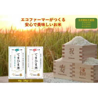 令和6年産『てまひま米』(彩のかがやき・ミルキークイーン) 精米 4kg(2kg×2袋)