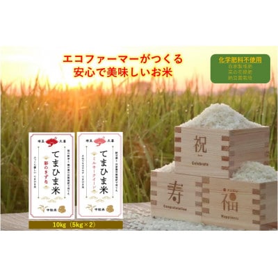 令和6年産『てまひま米』(彩のきずな・ミルキークイーン) 精米 10kg(5kg×2袋)