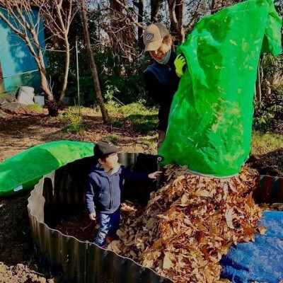 令和6年産『てまひま米』(彩のきずな・ミルキークイーン) 精米 10kg(5kg×2袋)