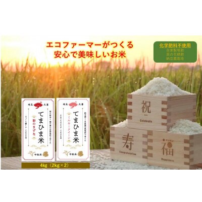 令和6年産『てまひま米』(彩のきずな・ミルキークイーン) 精米 4kg(2kg×2袋)