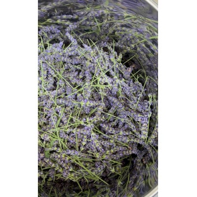 久喜市菖蒲産ラベンダー精油・芳香蒸留水セット